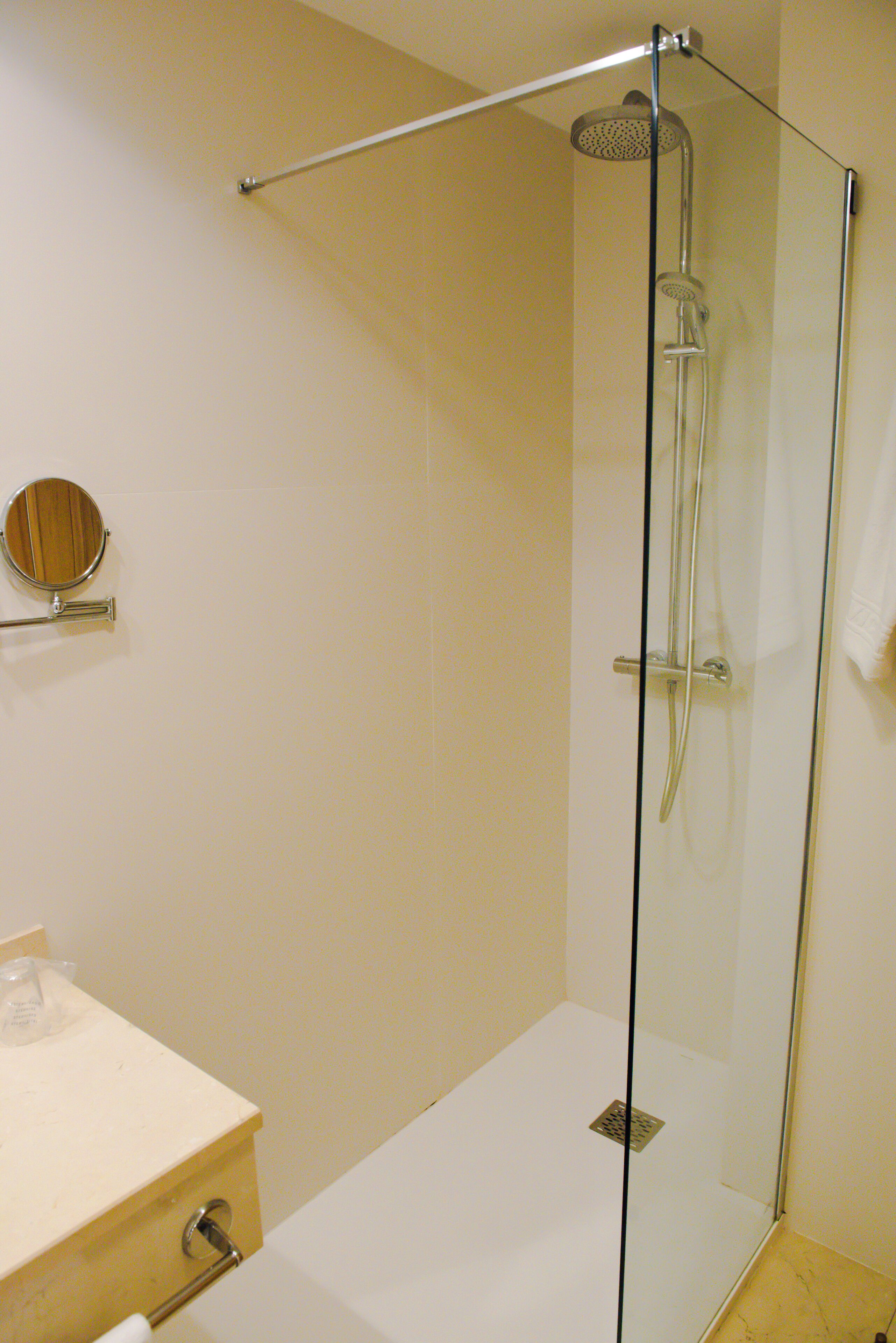 A glass-enclosed shower with a handheld showerhead, a towel rack, and a mirror on the wall.