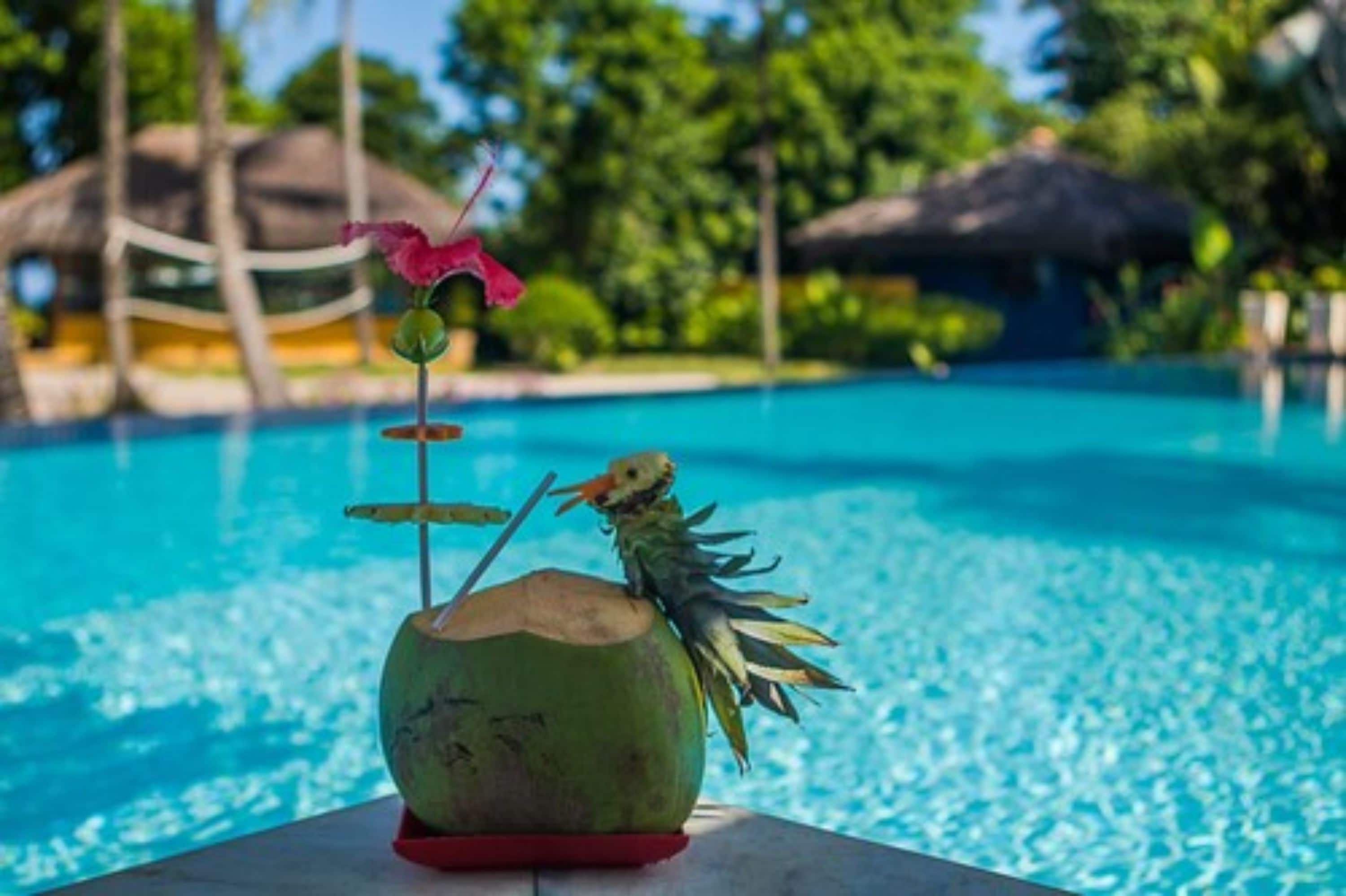 outdoor pool, pool loungers