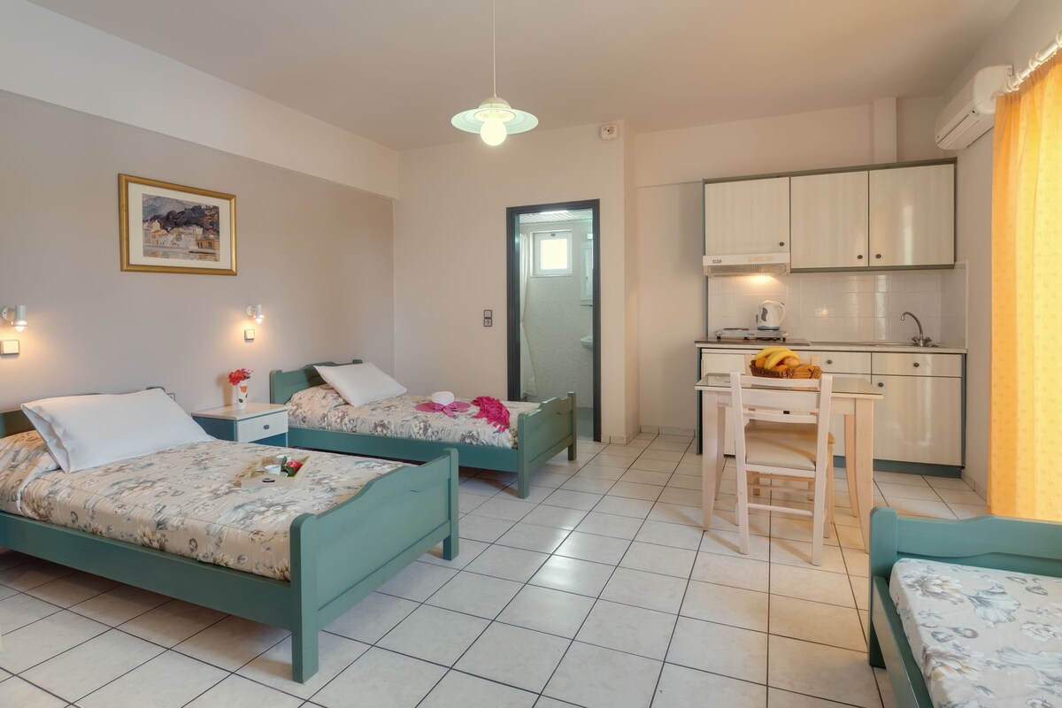 A room with two beds, a small kitchen, and a dining area.