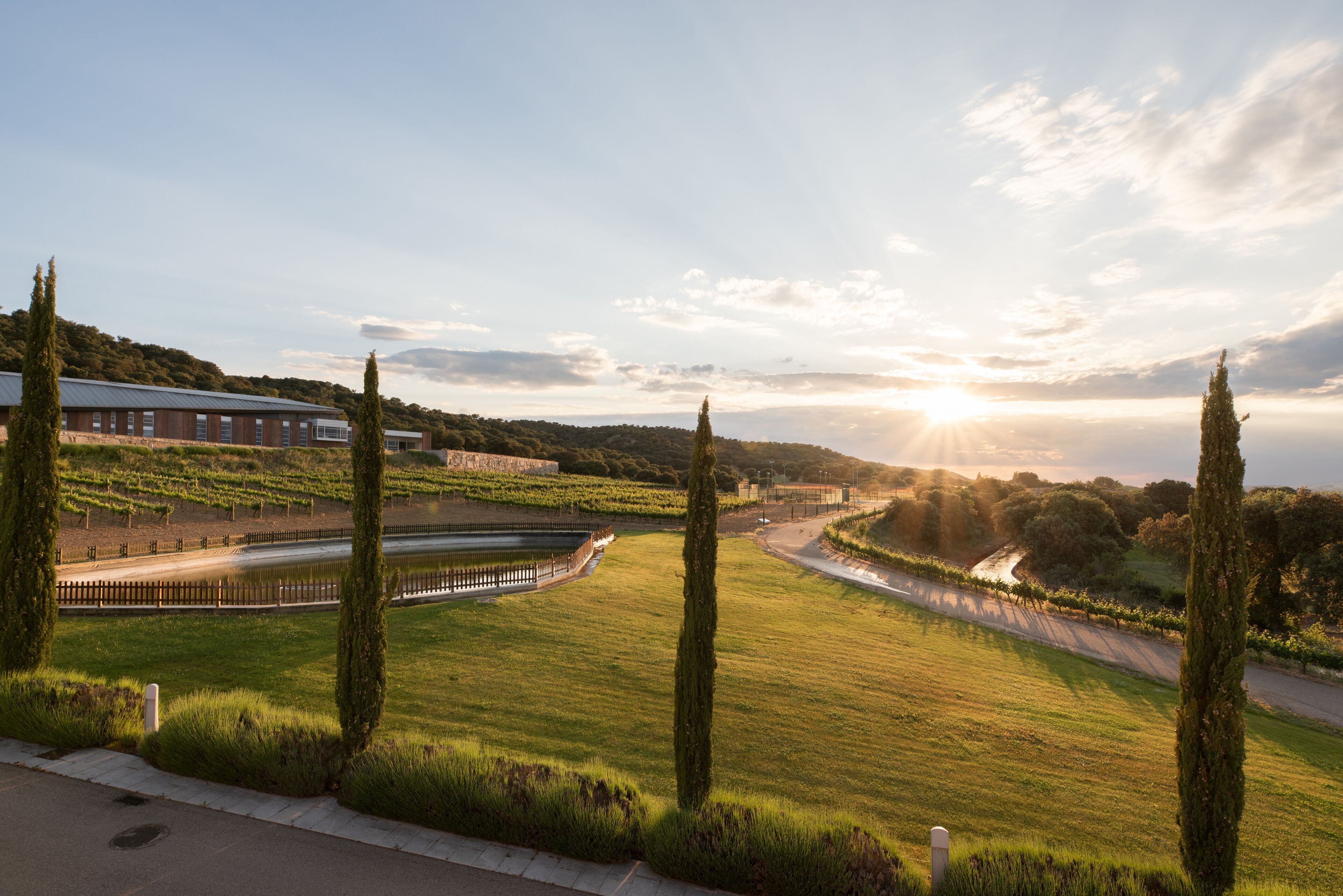 Photo - Valbusenda Hotel Bodega & Spa