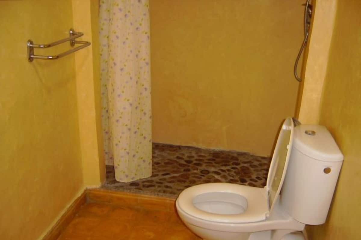 Máy sấy tóc