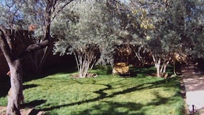 A well-maintained garden with a variety of trees and shrubs, a lawn, and a small wooden bench. - Riad Dar Fatna (Ait Taguella)