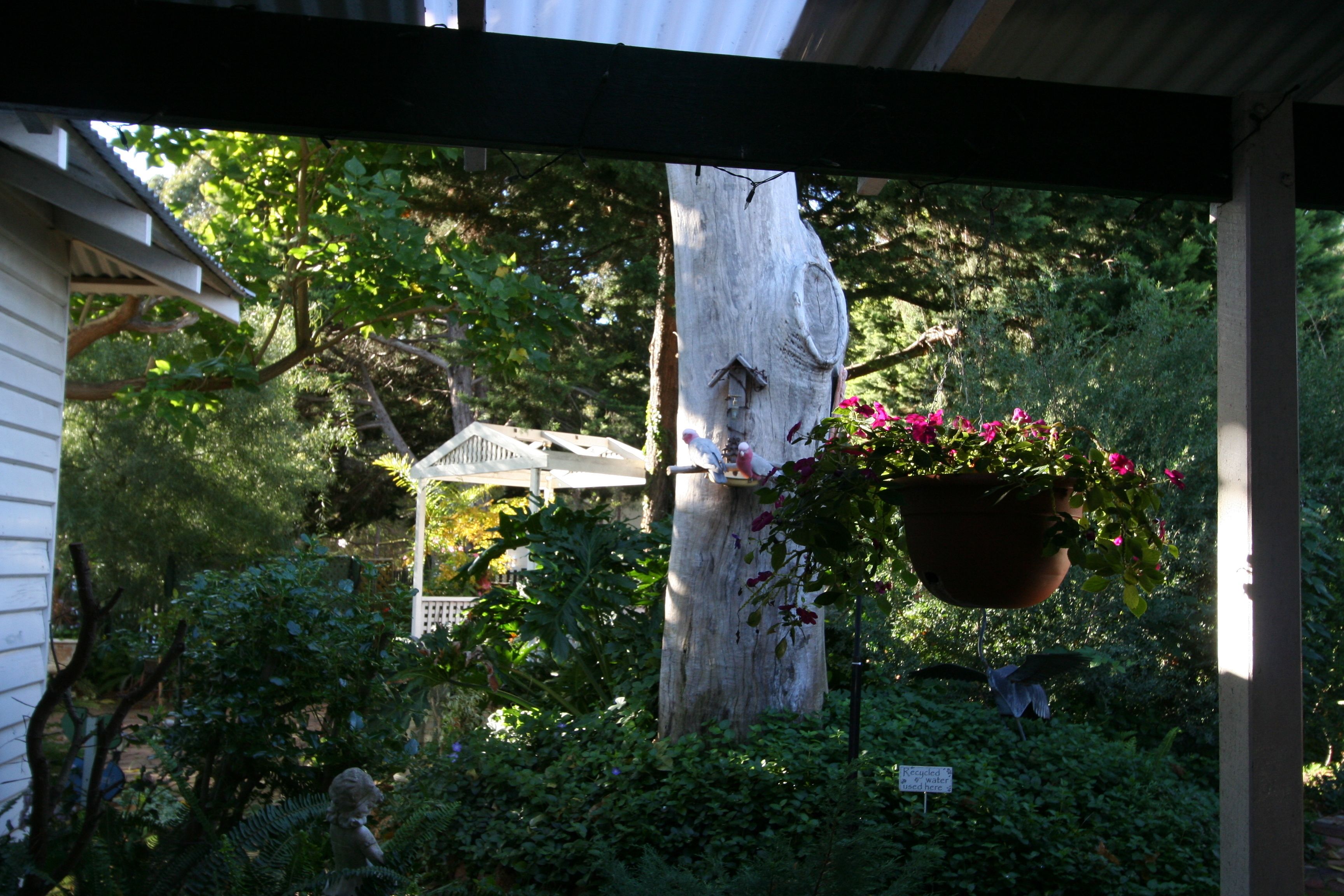 A covered porch with a hanging flower pot and a birdhouse on a tree trunk.