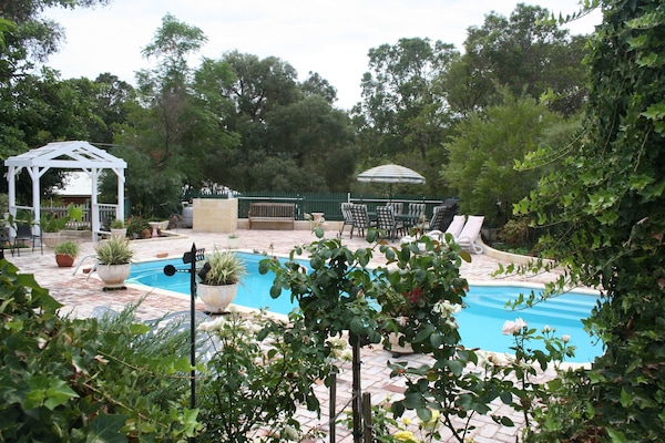 Outdoor pool, pool loungers