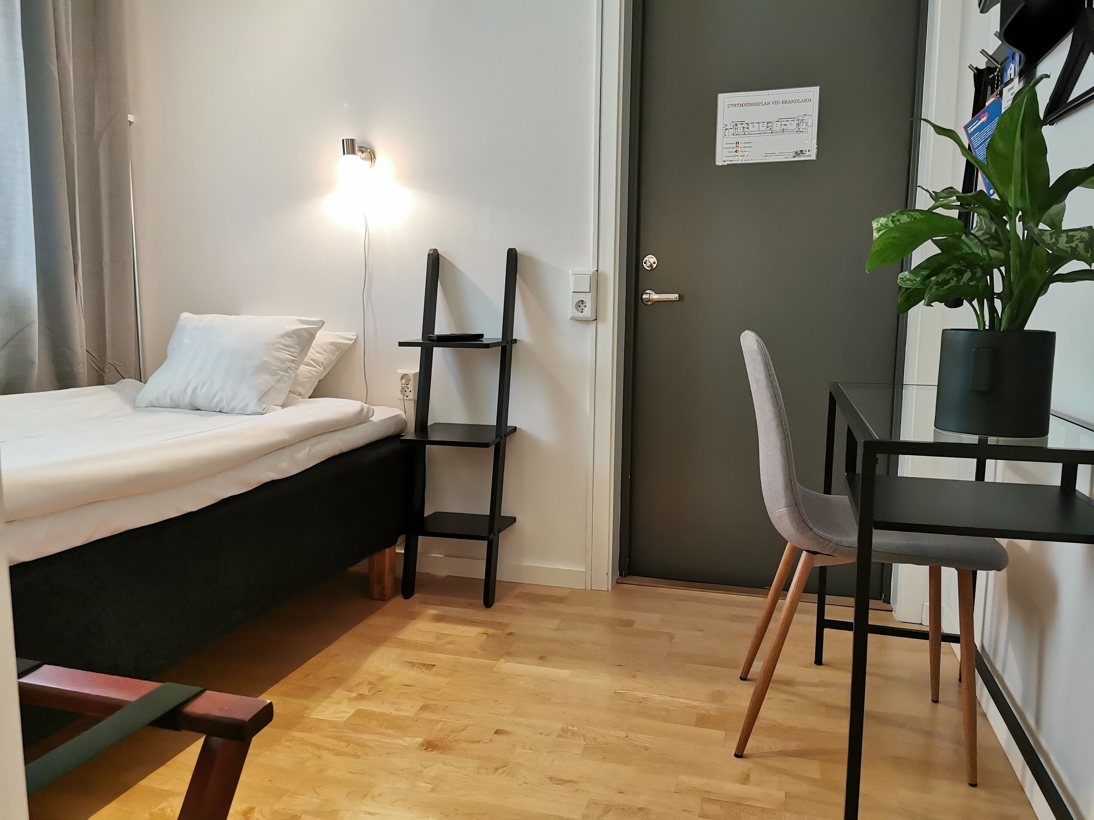 A bedroom with a bed, bedside table, chair, and a potted plant.