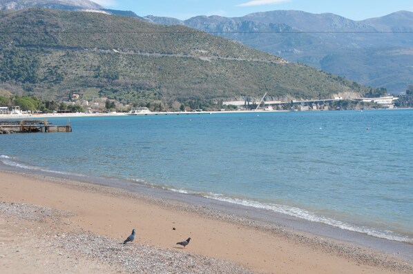 Fishing - Oaza (Budva)