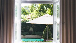Vista a través de una ventana de un área de piscina con una sombrilla, rodeada de vegetación.