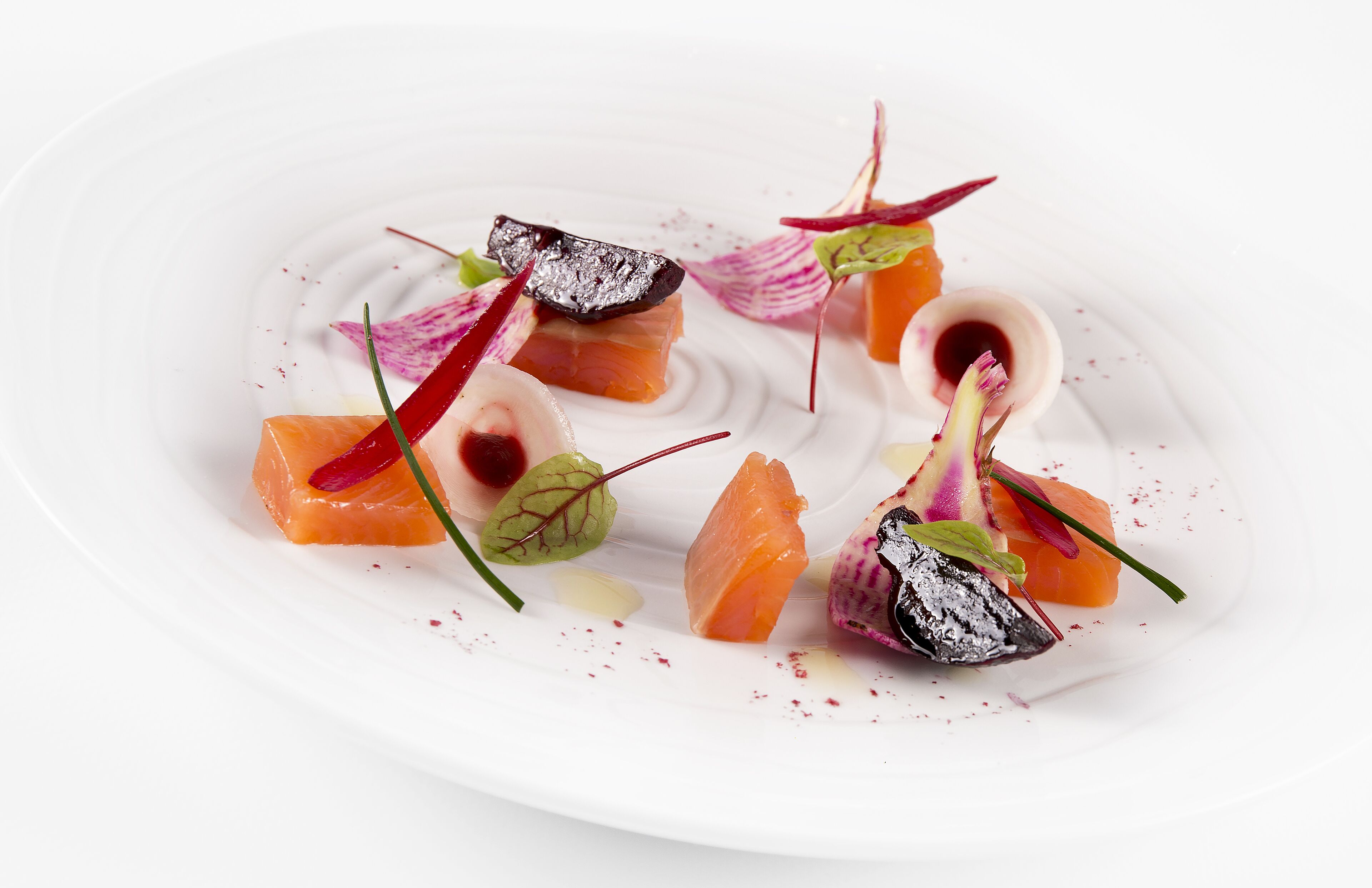Un plato blanco con diversos alimentos, incluyendo salmón y vegetales, dispuestos de forma artística.