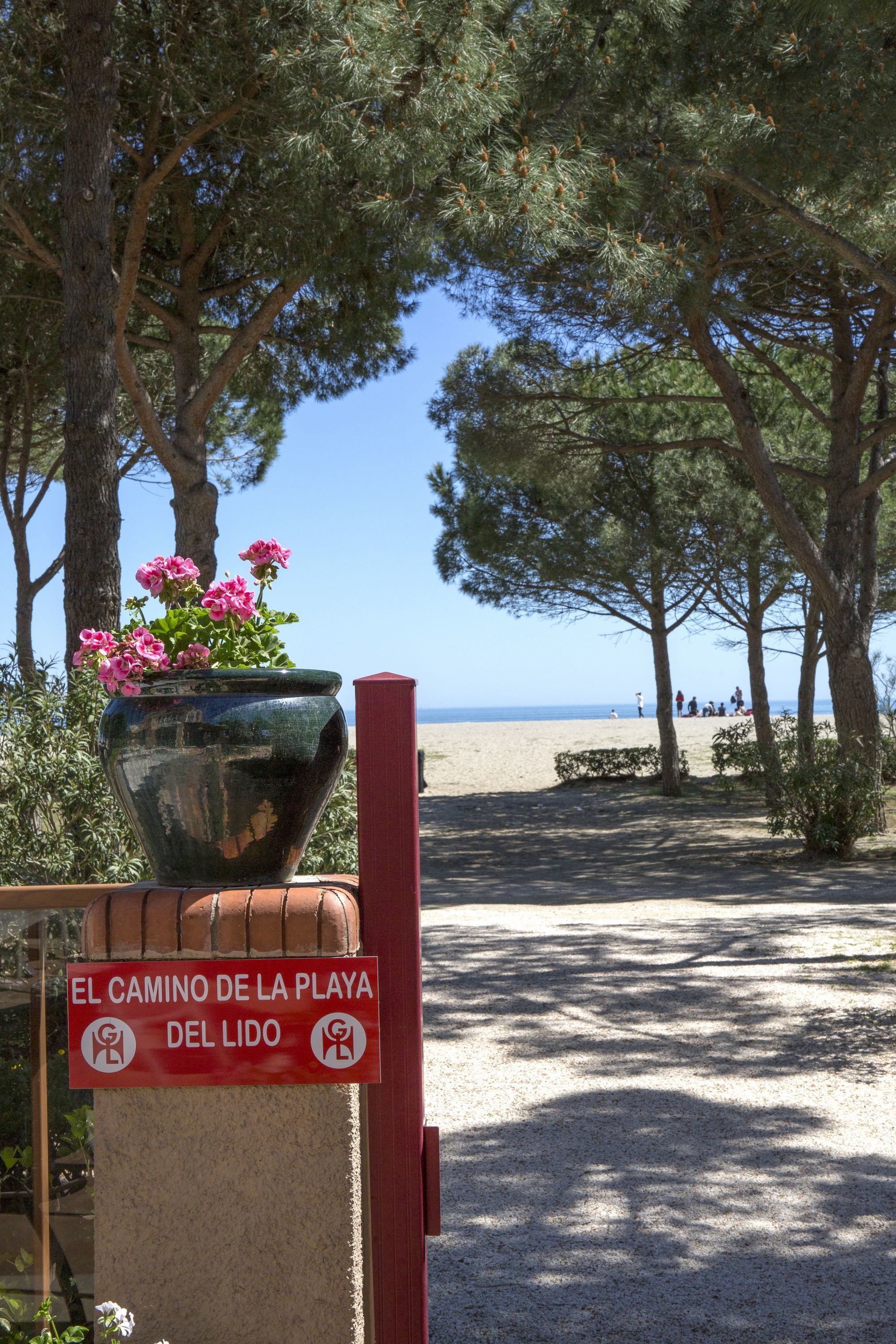 شاطئ