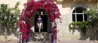 Hôtel Le Mas des Citronniers