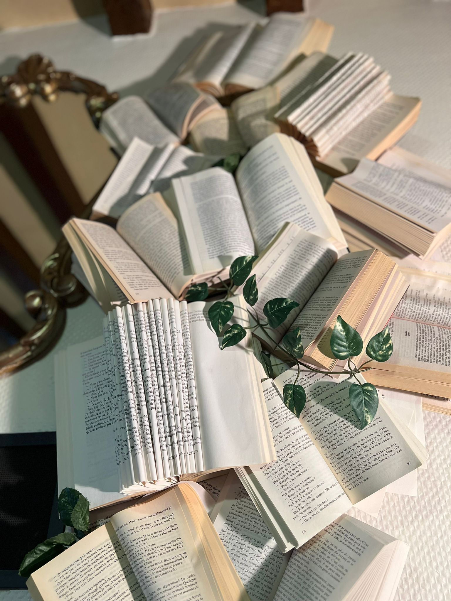 Una serie di libri aperti con testo leggibile, disposti su una superficie con una cornice metallica decorativa e una pianta con foglie verdi.