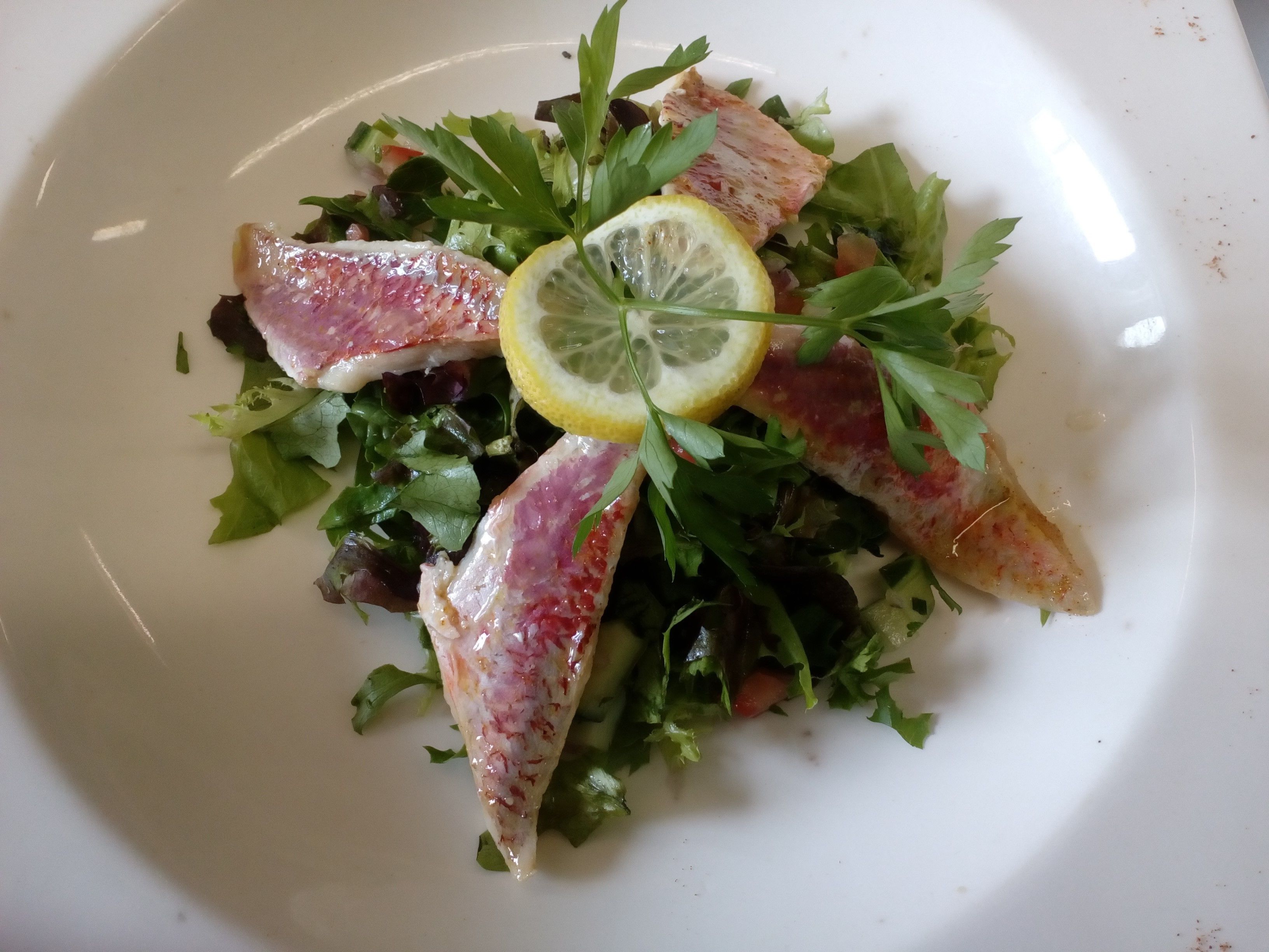 A plate of food with various greens and slices of meat, garnished with a lemon slice.