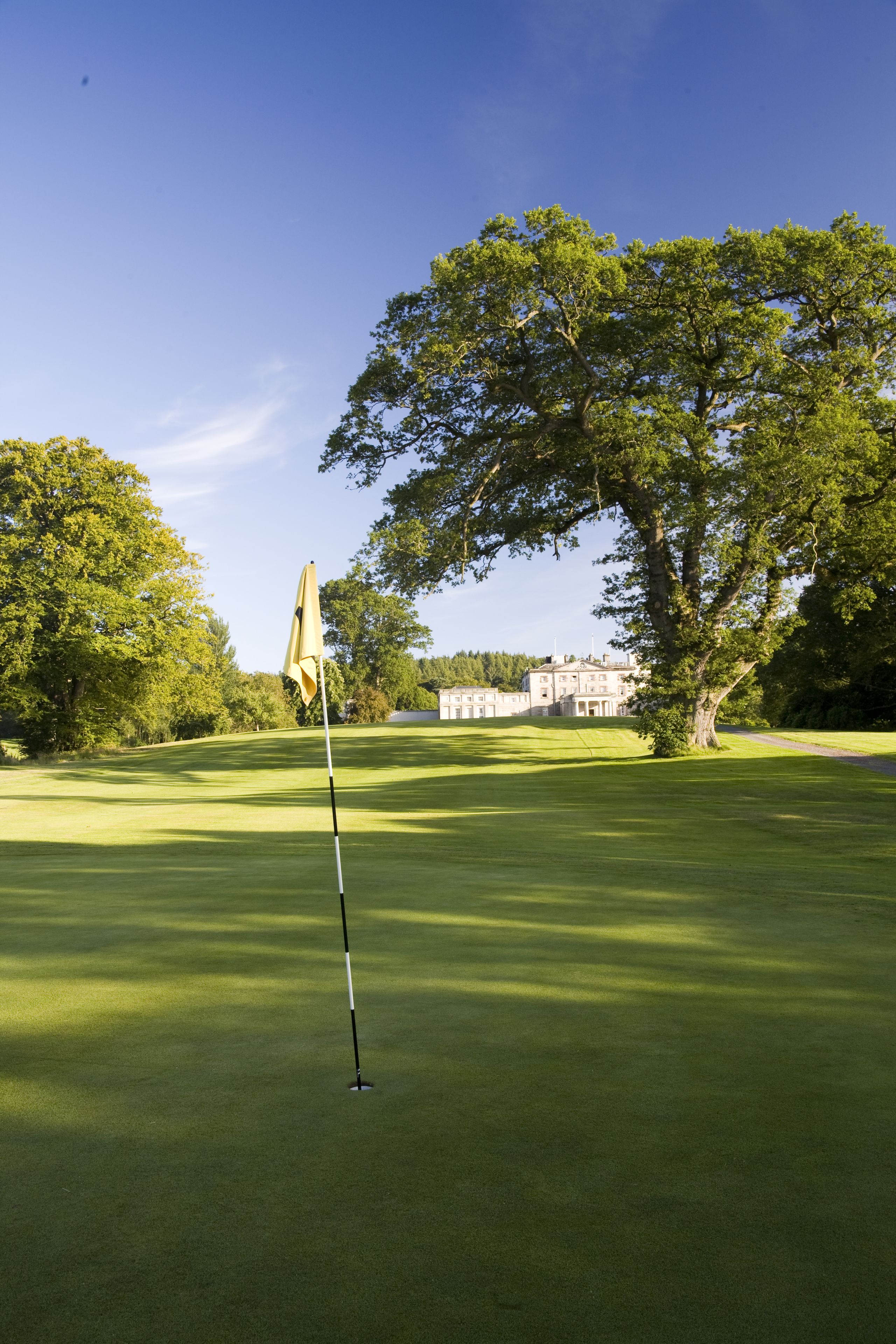 A golf course with a flagstick, a large tree, and a building in the background.