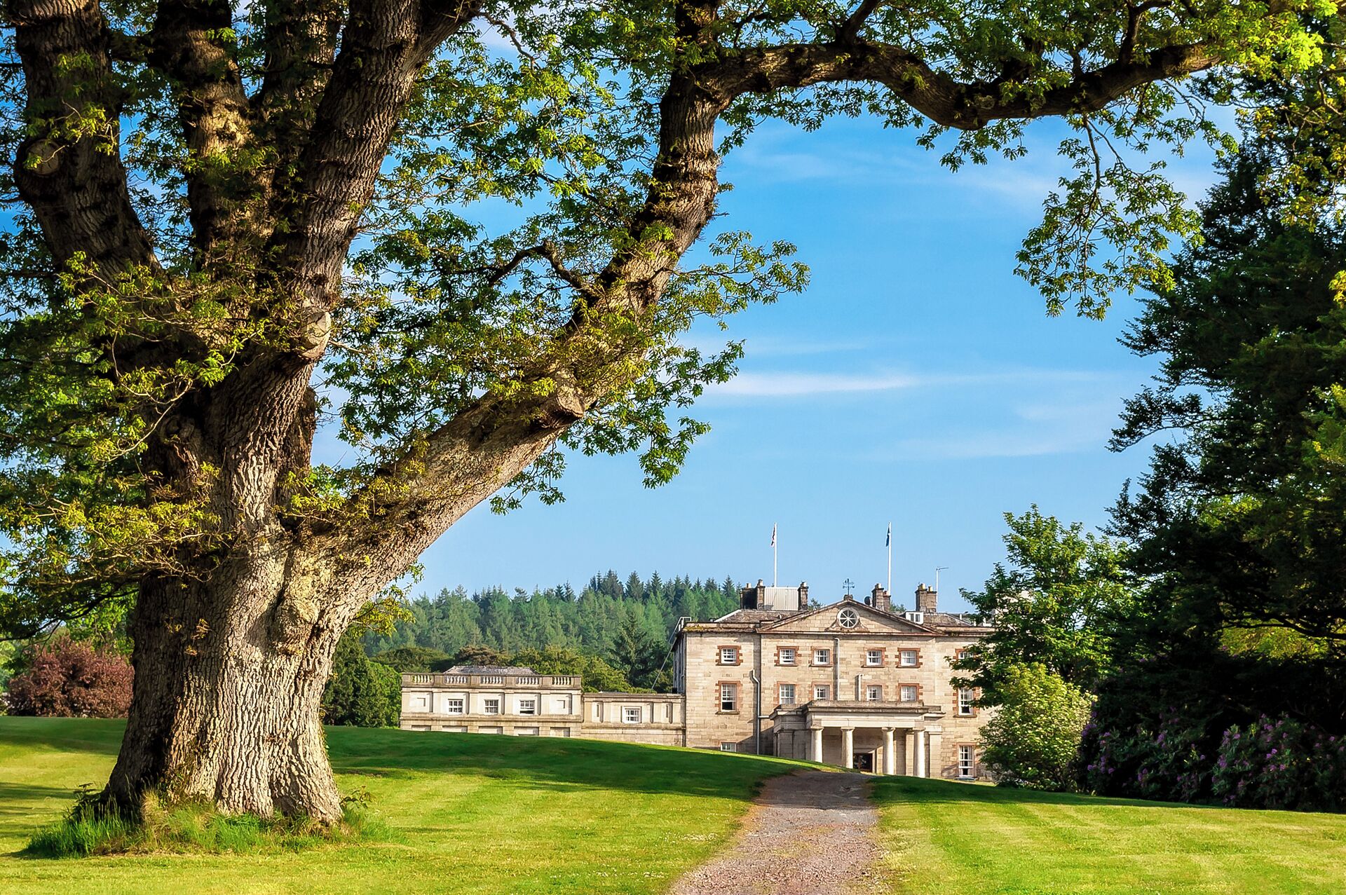 A large, historic building with a symmetrical facade, surrounded by lush greenery and a clear sky.