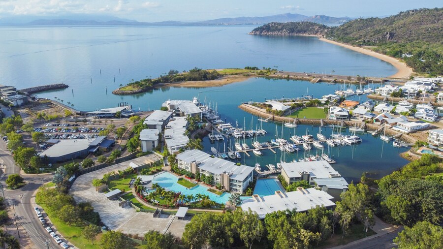 Peppers Blue on Blue