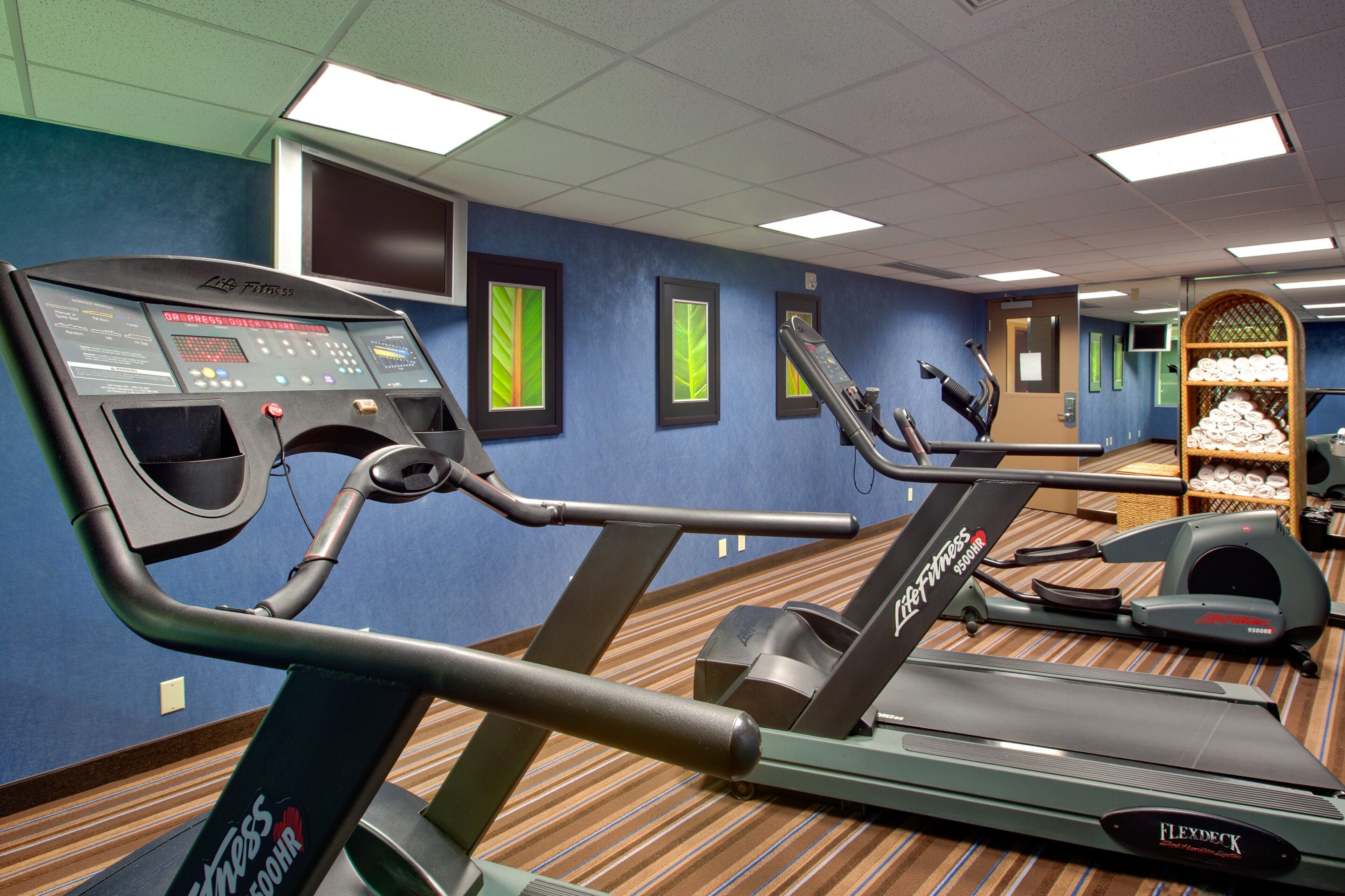 Un gimnasio con equipo de ejercicio, incluyendo cintas de correr y una bicicleta estática, además de una pared decorada con cuadros.