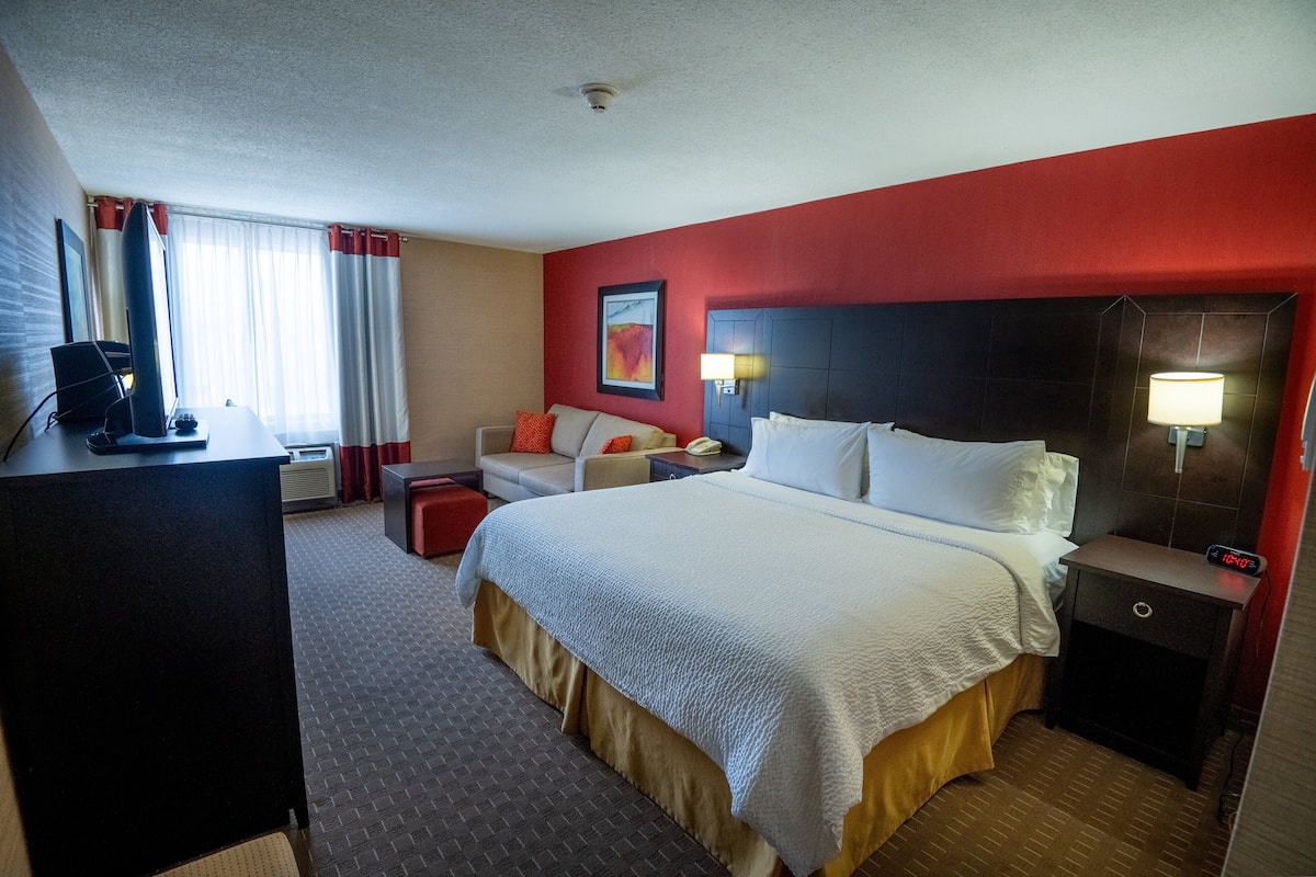 Standard Room, 1 King Bed with Sofa bed
