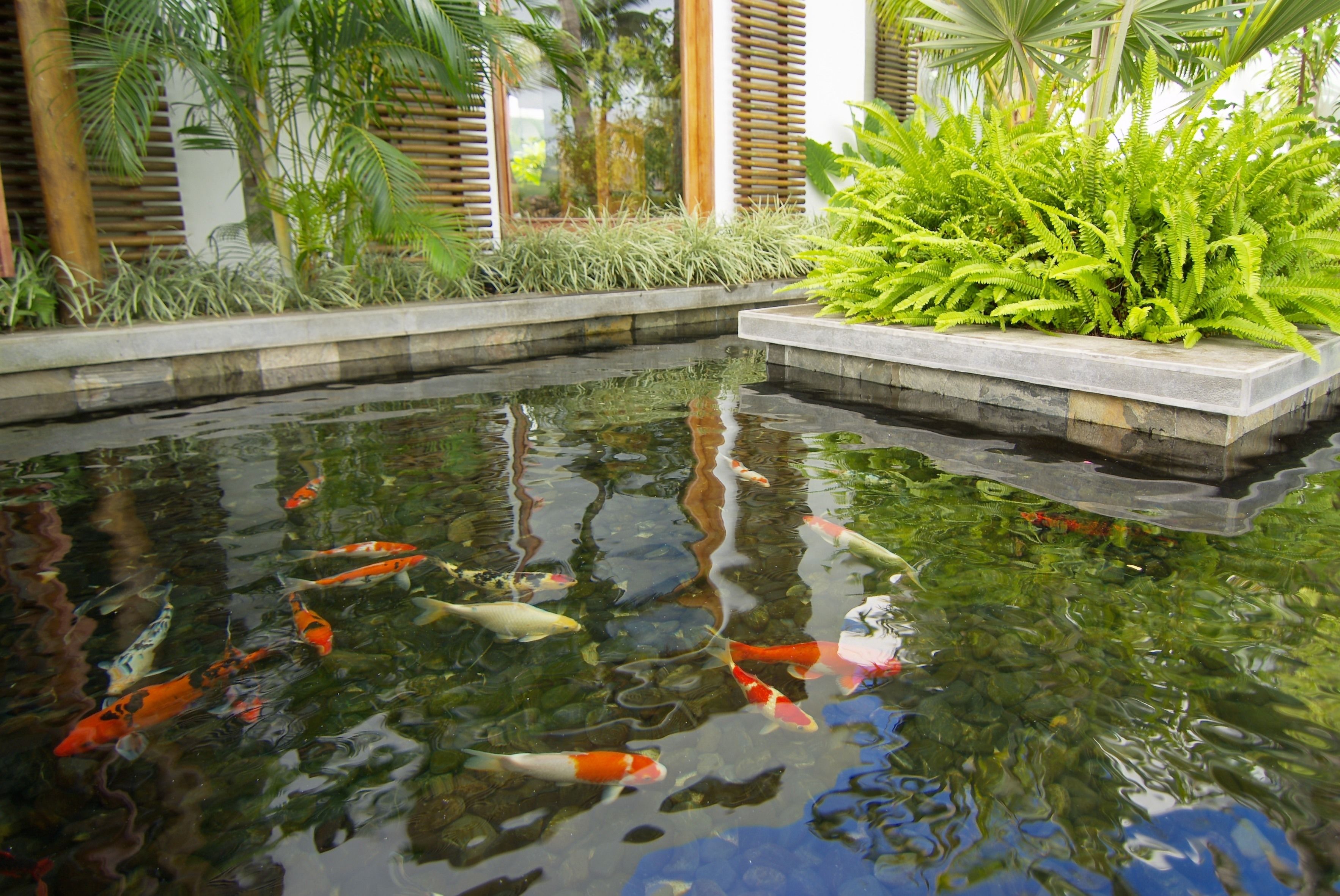 Foto - Laguna Beach Hotel & Spa