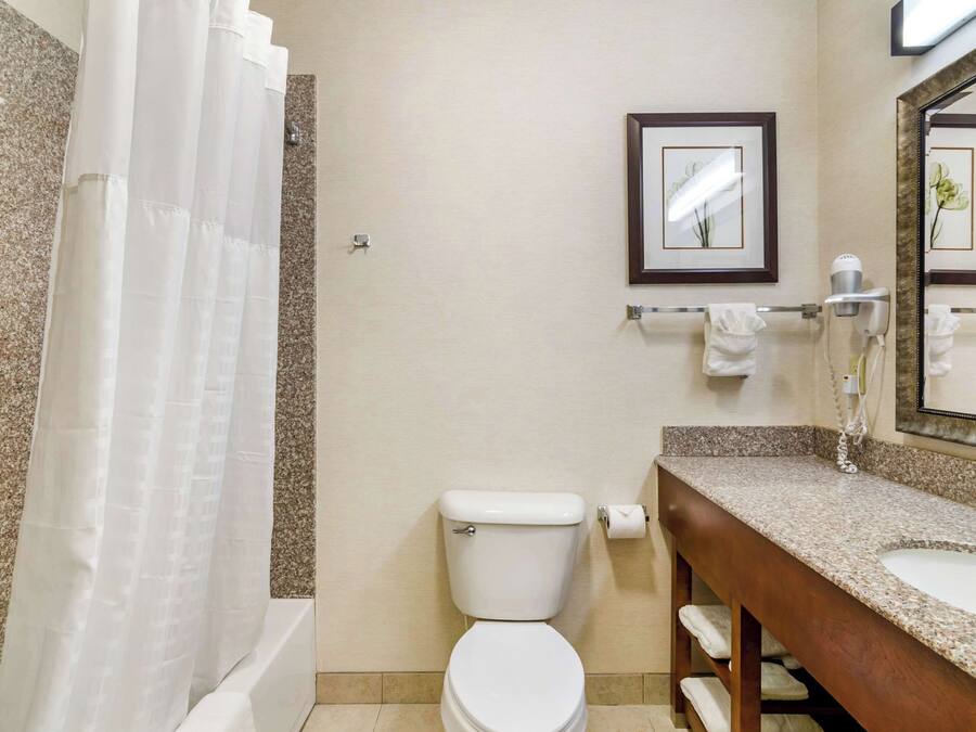 Un baño con inodoro, lavabo y cortina de ducha.