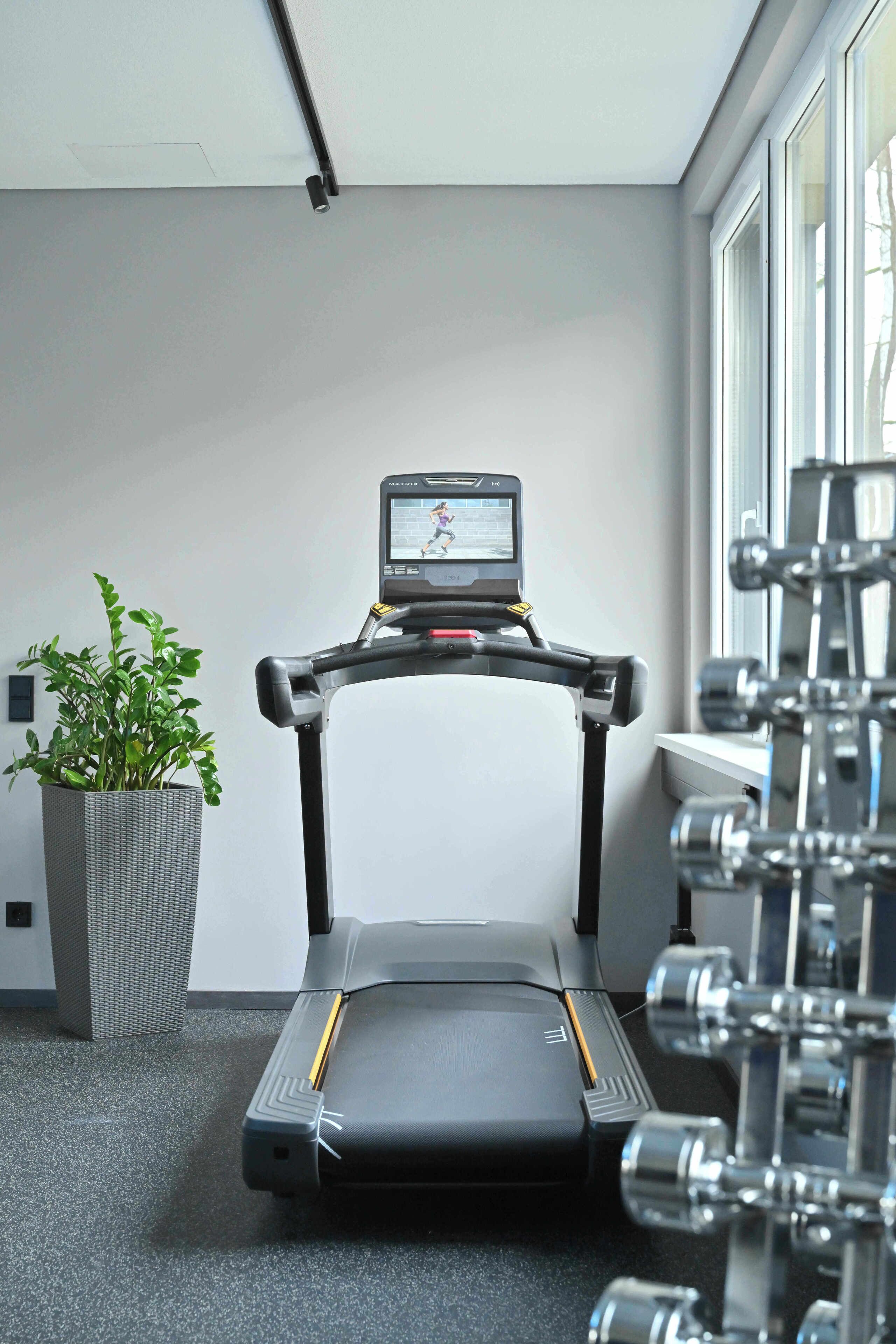 A treadmill in a room with a potted plant and gym equipment.