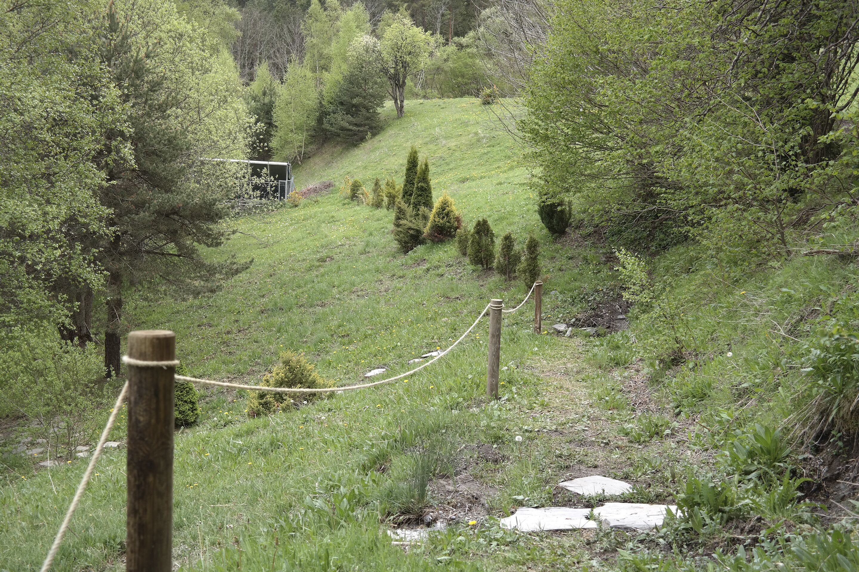 Een begroeide pad met houten omheining en touwbalk, dat door een bebost gebied met bomen en struiken loopt.