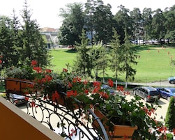 Executive Suite, 1 King Bed, Non Smoking (Living Room) | Balcony