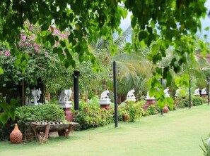 Terrein van de accommodatie