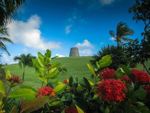 Property grounds - Tamarind Reef Resort Spa & Marina (Christiansted)