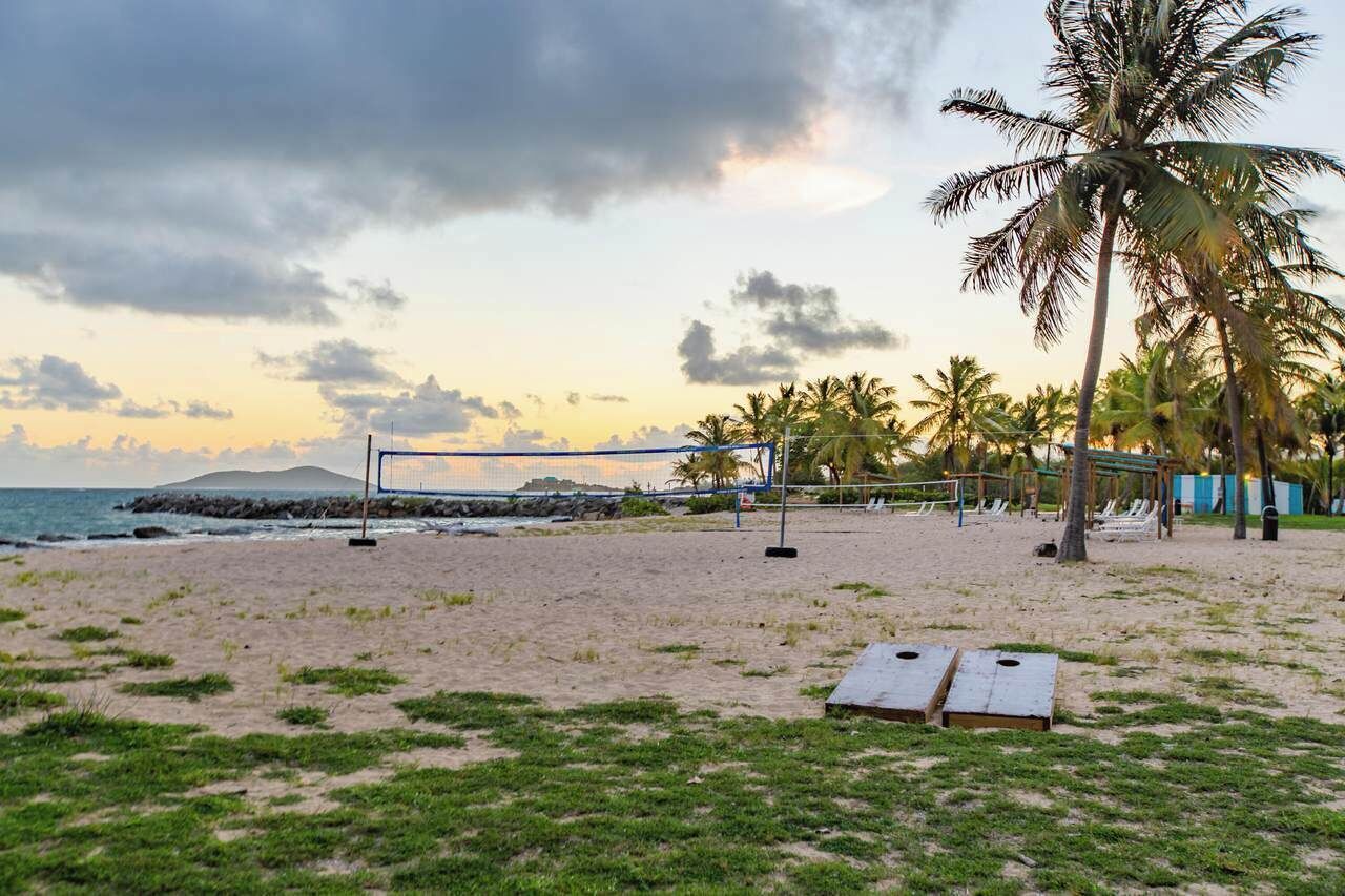 Una cancha de voleibol de playa con una red, palmeras y vista al océano.