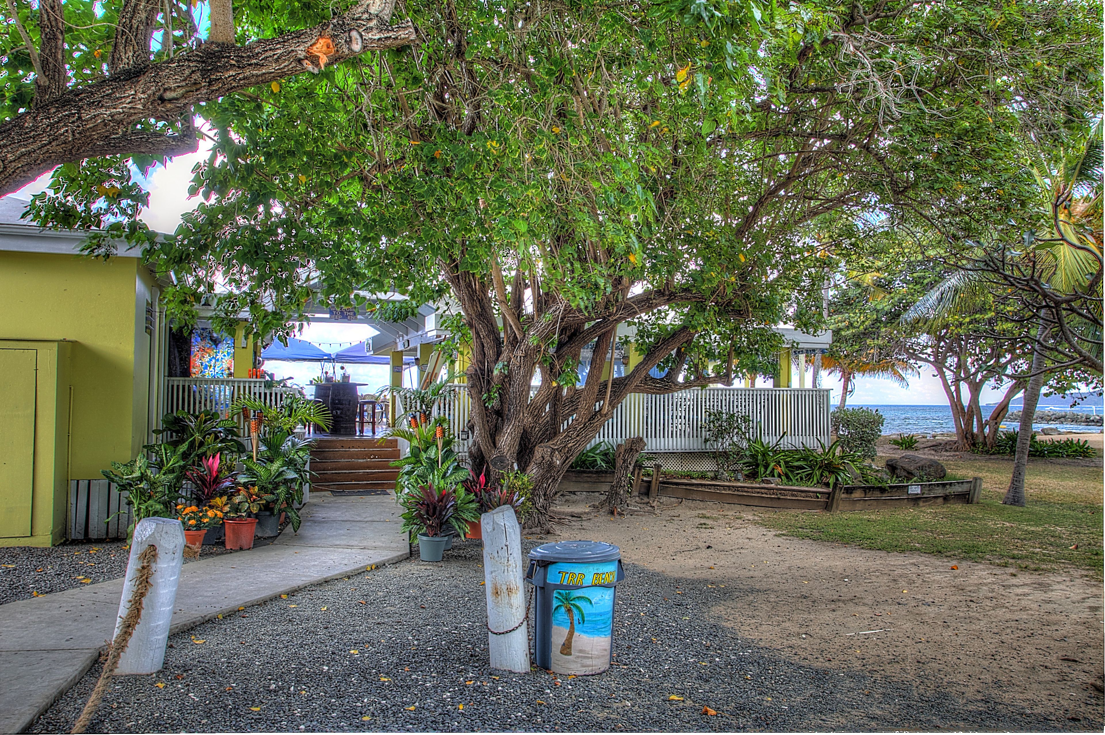 A pathway leading to a building with a beach view, surrounded by potted plants and a trash bin.