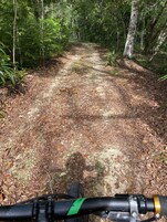 Un sendero en un bosque con una pista para bicicletas.