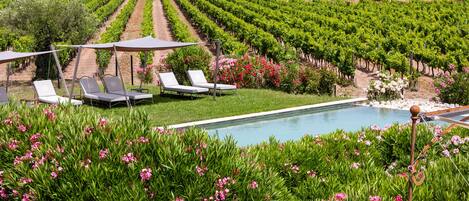 Alberca al aire libre por temporada y sombrillas en la alberca