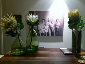 Três vasos de vidro com plantas sobre uma mesa de madeira, uma fotografia a preto e branco na parede e um livro sobre a mesa.