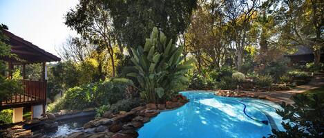 Seasonal outdoor pool, sun loungers