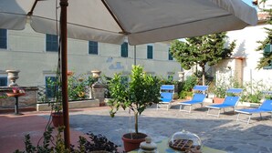 Un patio al aire libre con una mesa, plantas en macetas y un árbol.