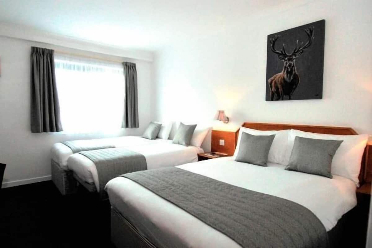 Desk, laptop workspace, free cribs/infant beds, free WiFi