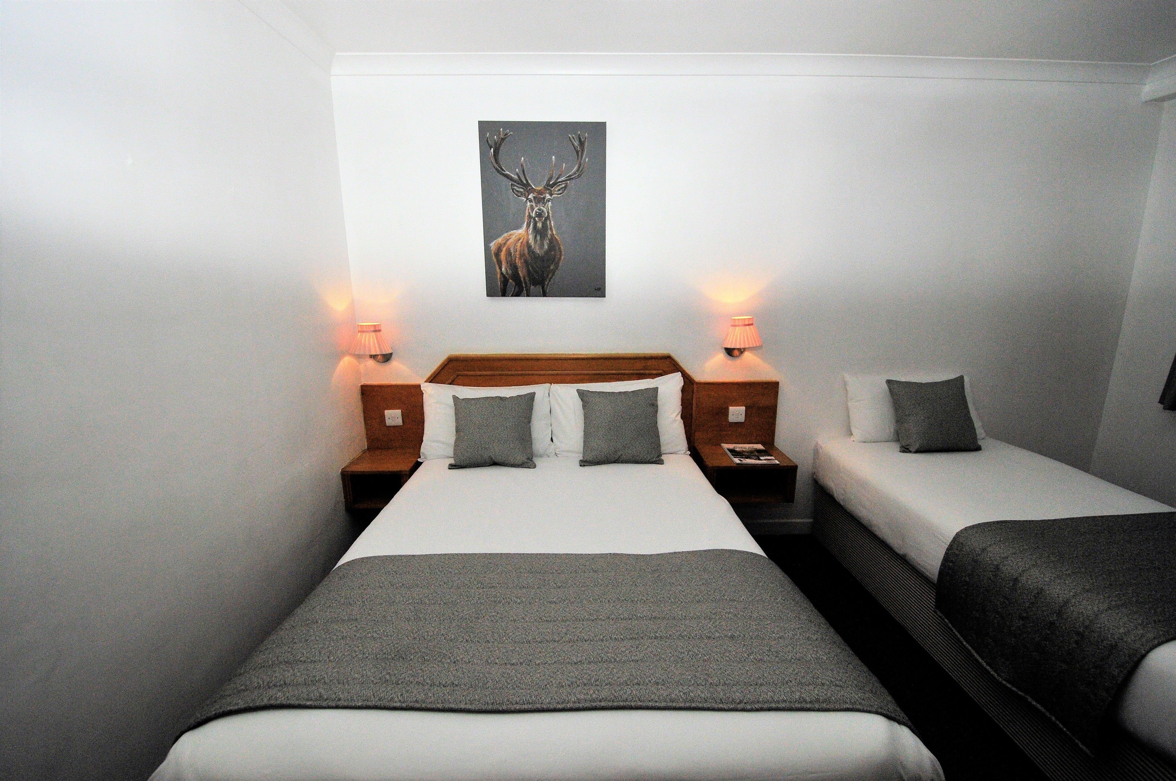 Habitación de hotel con dos camas individuales, una cama grande, un cuadro de un ciervo colgado en la pared y lámparas de noche.