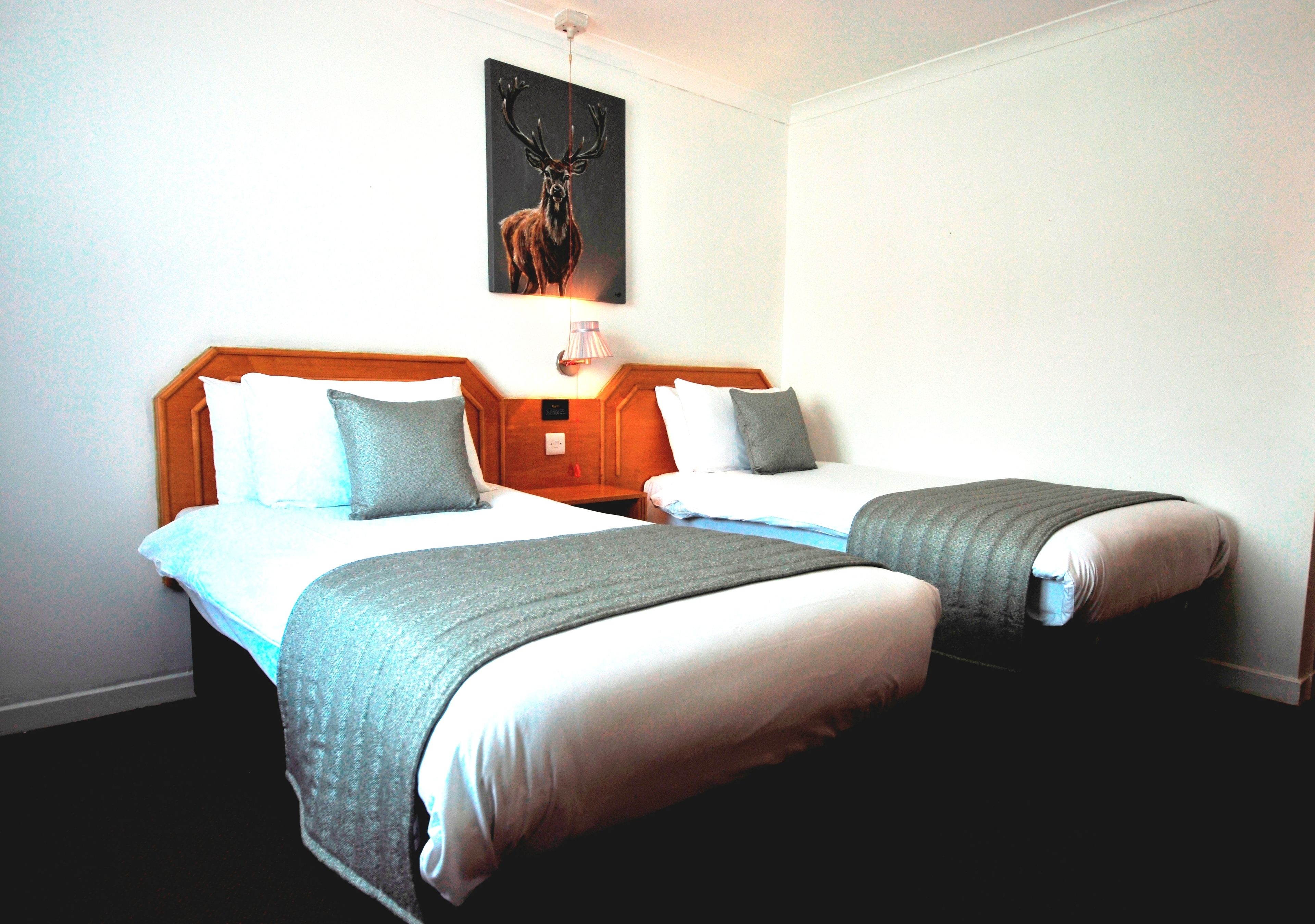 Een hotelkamer met twee bedden, een houten hoofdeinde, een wandlamp en een schilderij van een hert.