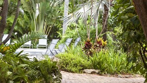 A paved pathway surrounded by lush greenery and palm trees. - Paradise Inn Key West - Adults Only (Key West)