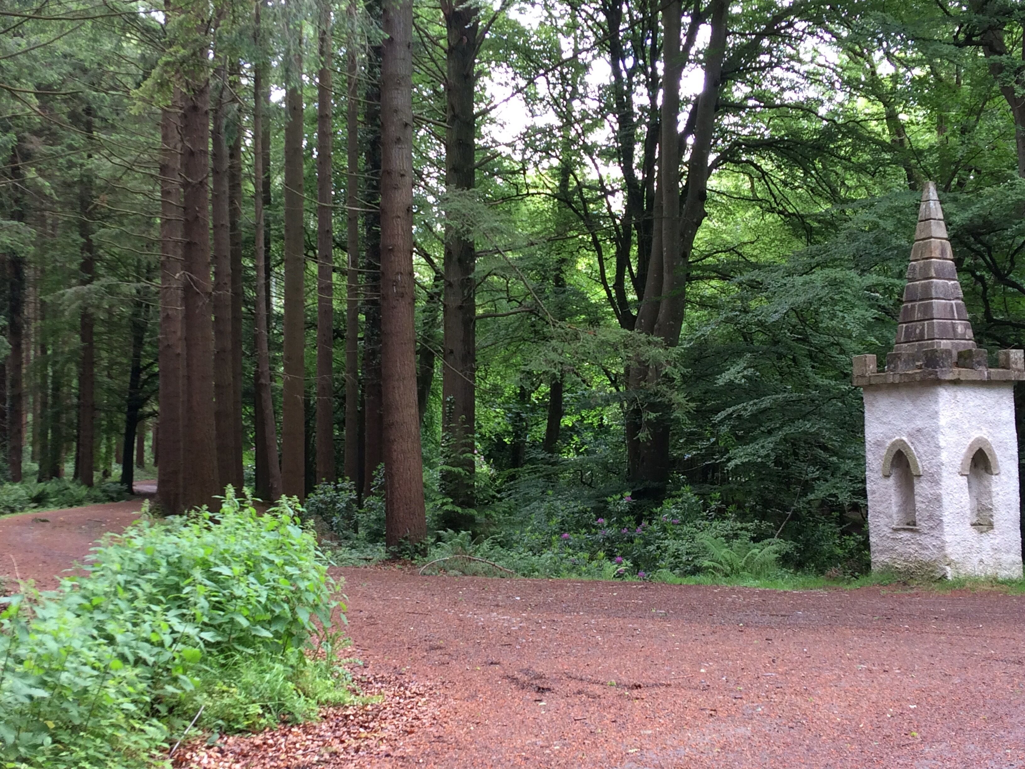 A forested area with a dirt path leading to a small stone structure with arched windows.