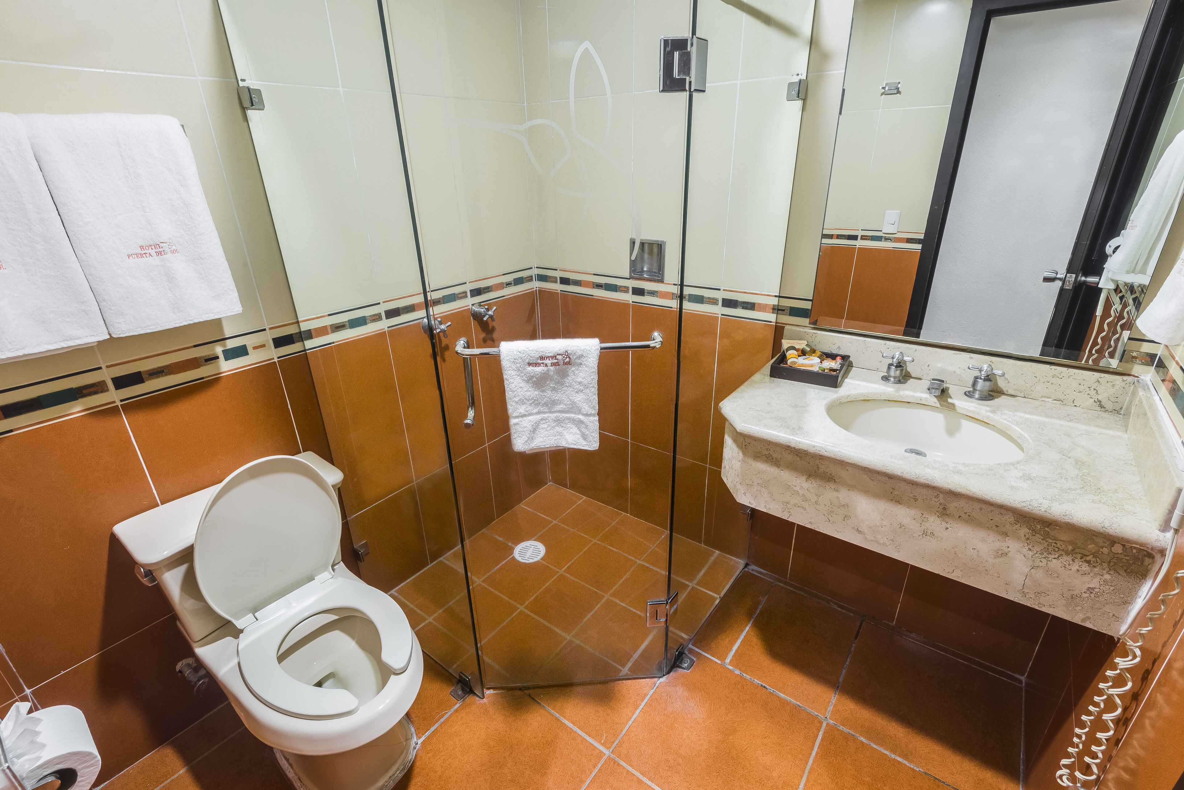 shower, free toiletries, hair dryer, towels