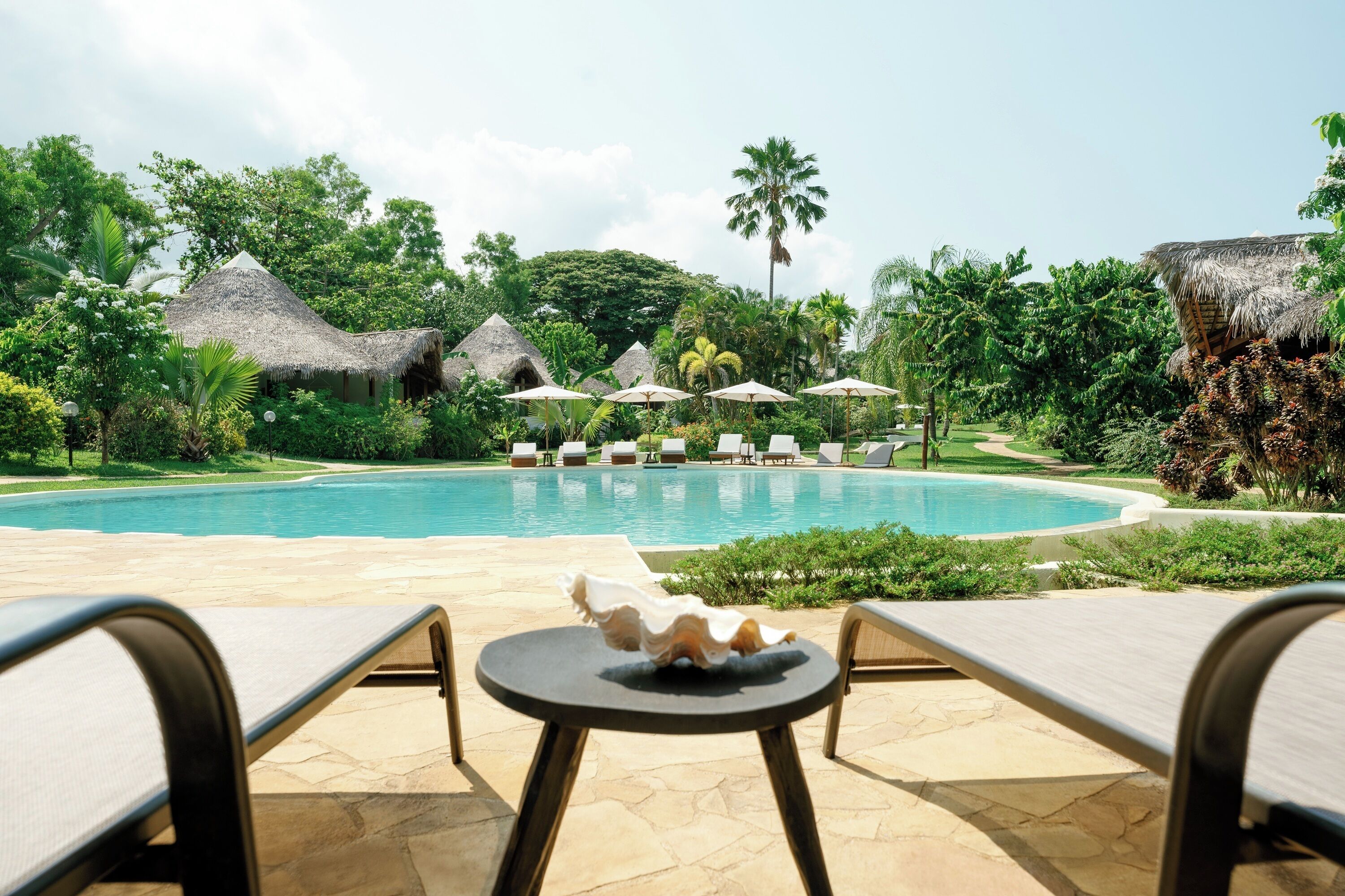 Hồ bơi ngoài trời, dù/ô trên bãi biển/hồ bơi, ghế dài tắm nắng 