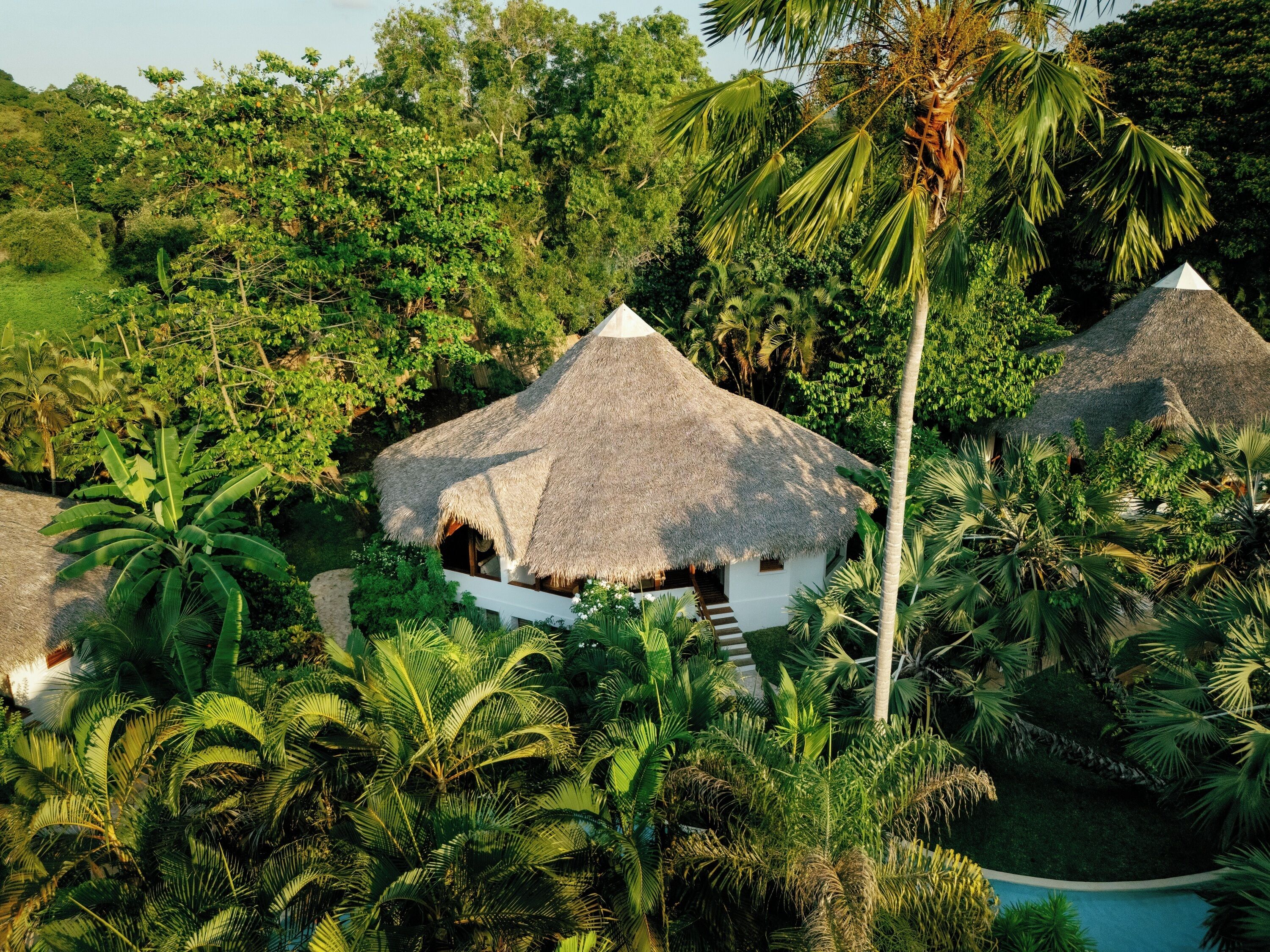 A thatched-roof bungalow surrounded by lush tropical vegetation.