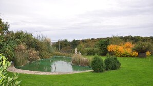 Een vijver omringd door een grasveld met diverse planten en bomen.