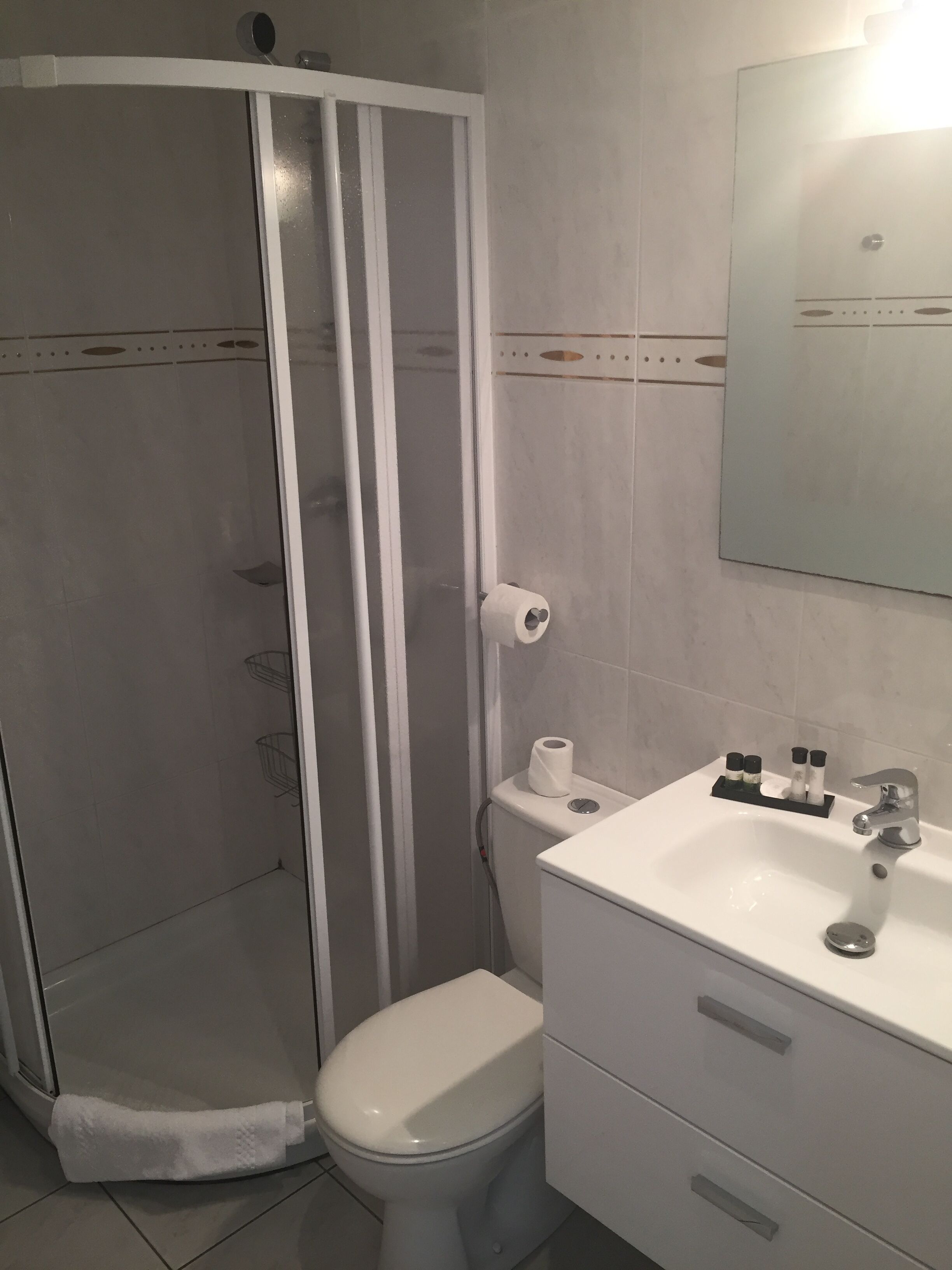 A bathroom with a toilet, a sink, and a shower enclosure.