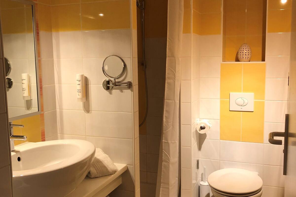 shower, free toiletries, hair dryer, bidet