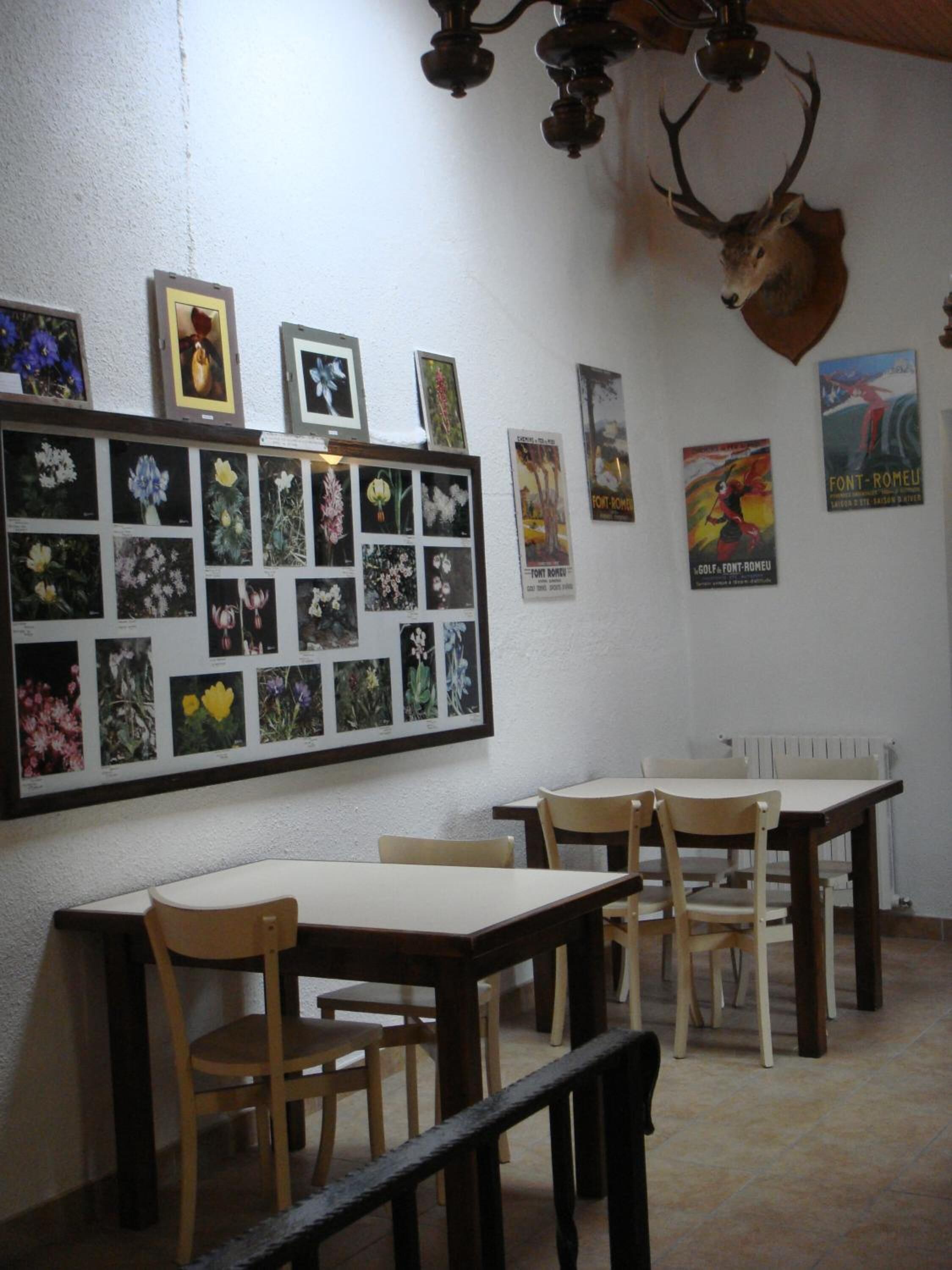 breakfast, lunch, dinner served; regional cuisine