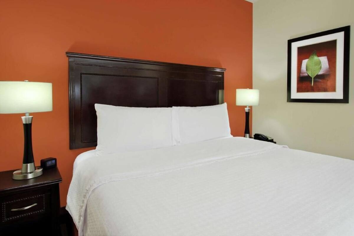 A hotel room with a large bed, two bedside lamps, a nightstand, a framed picture on the wall, and an orange accent wall.