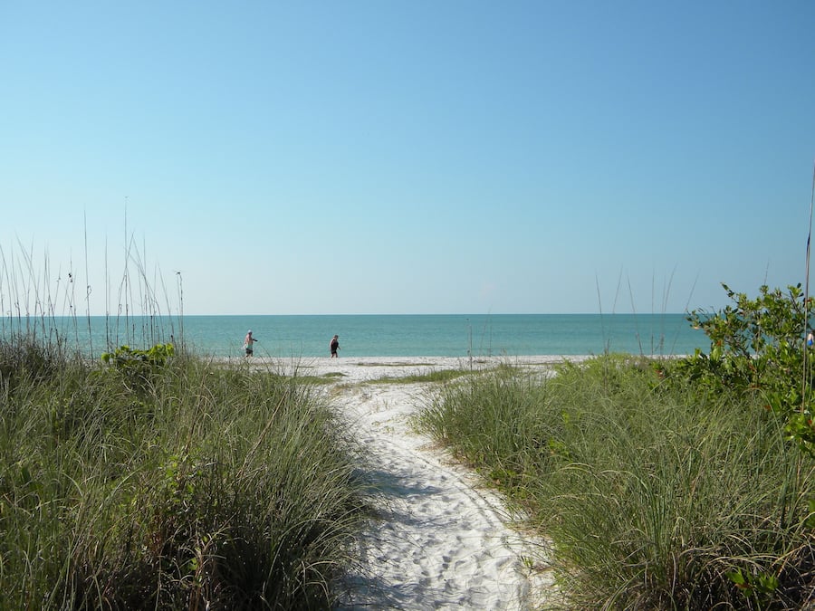 On the beach, sun-loungers, beach umbrellas, fishing