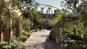 Un camino pavimentado bordeado de macetas con plantas y mobiliario exterior, que conduce a la entrada de un edificio.